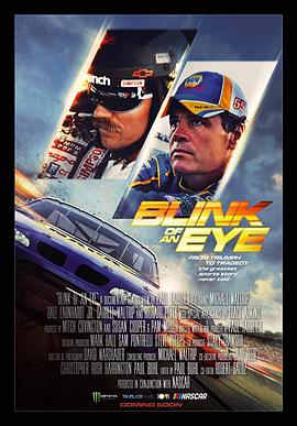 【Dale Earnhardt&In the Blink of an Eye: Destiny in Daytona, Michael Waltrip】海报