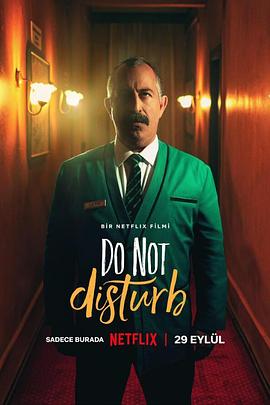 【Do Not Disturb: Ayzek ile Bir Gece】海报